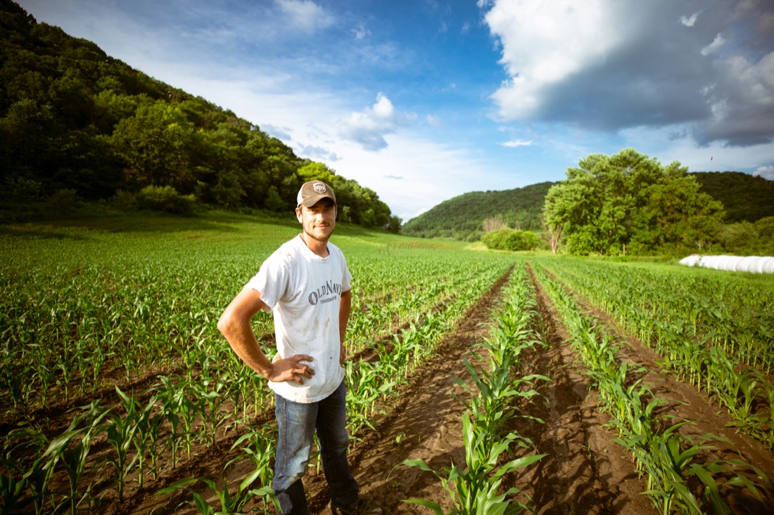Agricultor na lavoura atendido pela Sollarseg